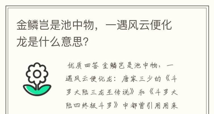 《金鳞龙王出装顺序攻略最新》（提升游戏实力的最佳装备选择方案，助您成为无敌之王！）