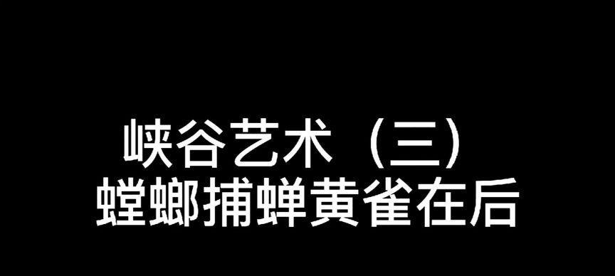 《螳螂峡谷隐身技能加点攻略》（如何正确加点，提升隐身效果，成为无敌刺客！）