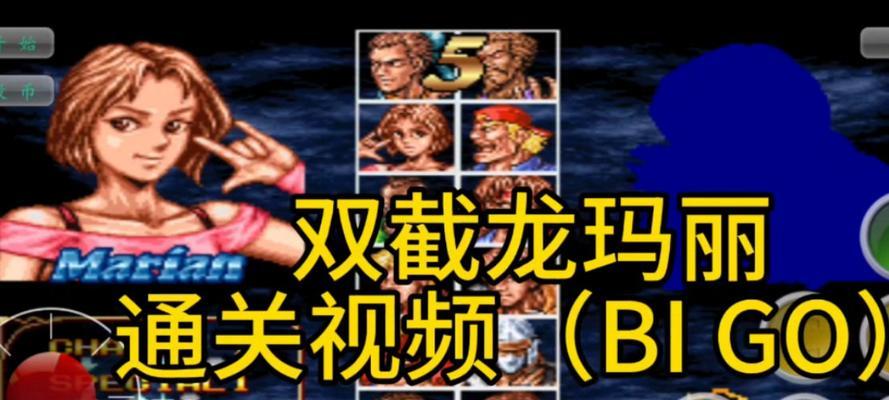 《掌握双截龙格斗技能，成为终极战士》（剑指巅峰，征战格斗之路）