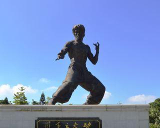 擒拿虎李小龙出装攻略（掌握关键装备，成为无敌杀手）
