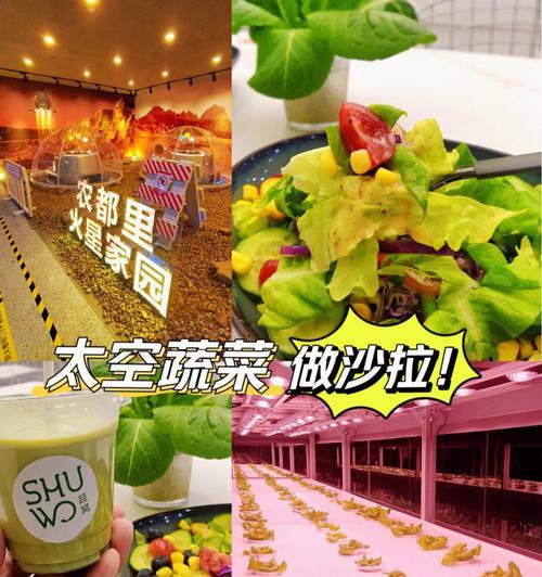宇宙蔬菜游戏大全攻略（成为宇宙蔬菜农场主，掌握游戏技巧！）
