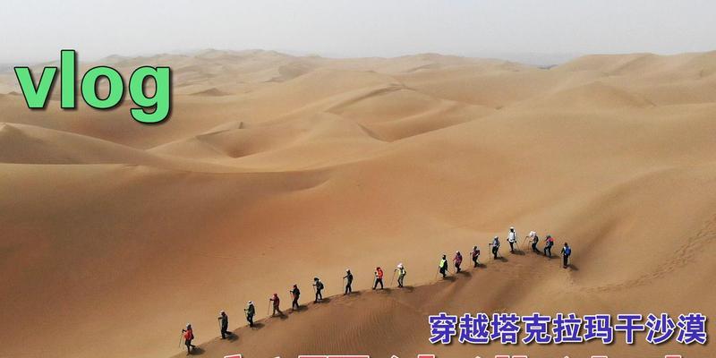 《探索沙漠游戏天堂攻略》（玩转极限冒险，抢先解锁隐藏关卡！）