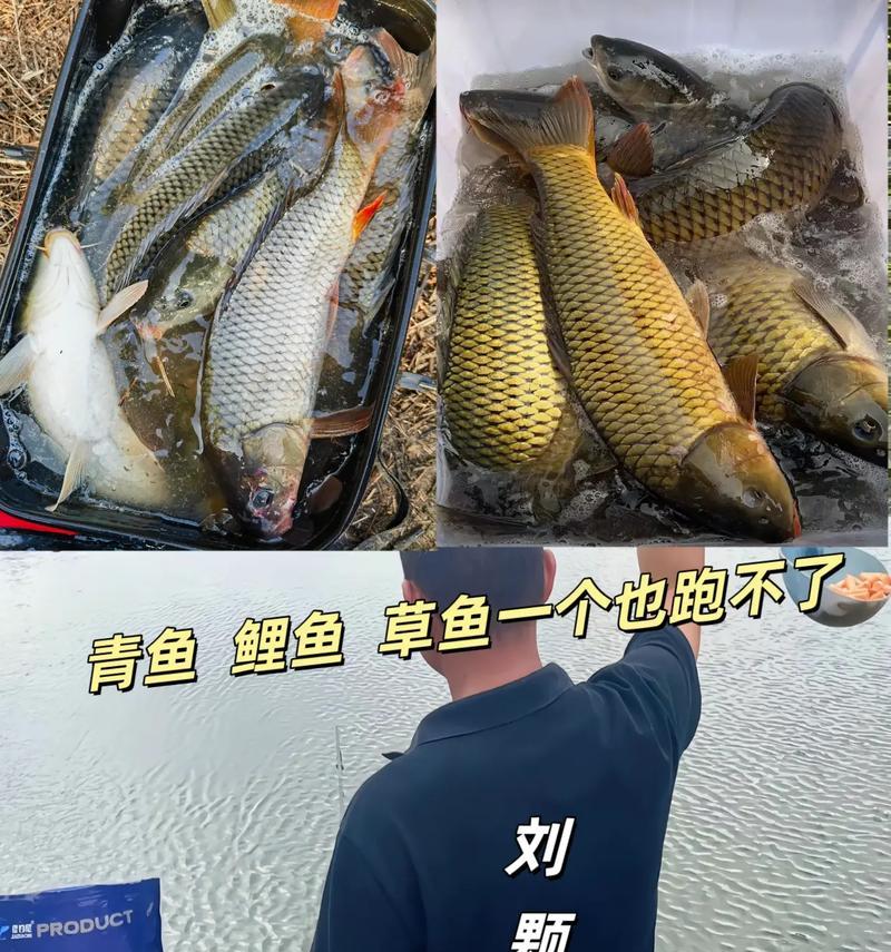 鲤鱼冰淇淋7代游戏攻略（探索冰封世界的秘密，成为冰淇淋大师！）