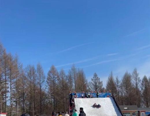 雪地贪吃蛇游戏攻略（掌握关键技巧，吃遍整个雪域！）