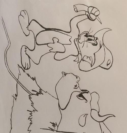 《玩转黑白猫和老鼠游戏——攻略大揭秘》（成为游戏达人的秘籍，让你轻松玩转猫鼠斗智斗勇！）
