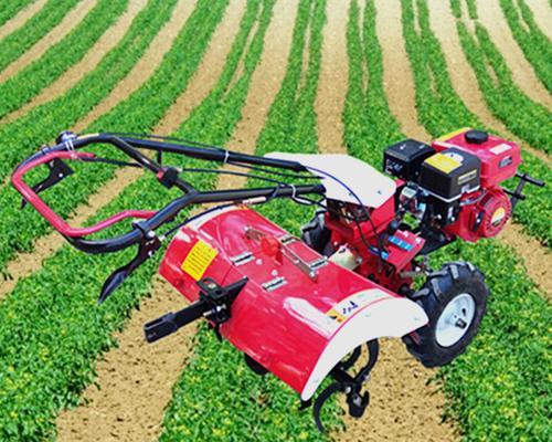 地下割草机副本攻略（精通地下割草机副本，打造无敌割草团队的秘诀揭秘）