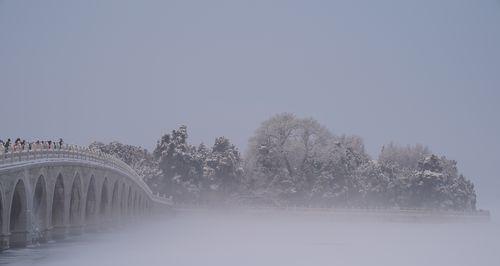 雪居之地雪猛猛的资源需求（探究以雪居之地雪猛猛对资源的需求及其关键因素）